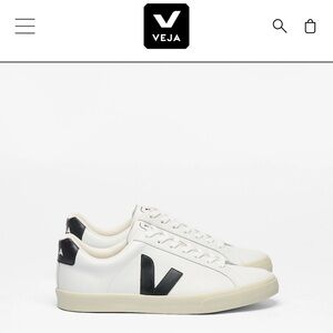 Veja White Sneakers with Black Detailing